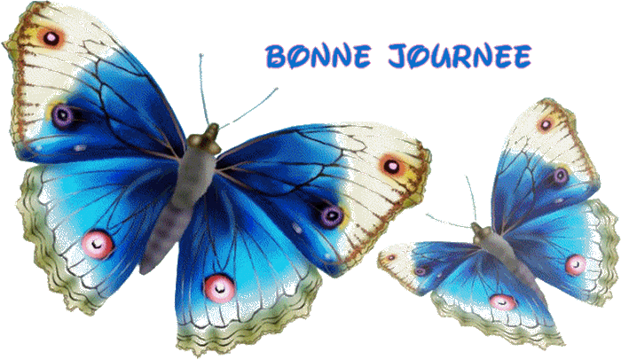 BONNE JOURNEE